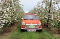 MG Bloesemrit op 24-4-2016 org. Jos&Marie-lou  (287)